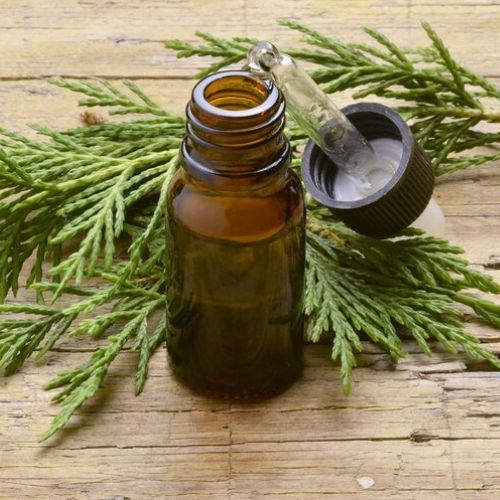 Tinh dầu Hinoki - mang hương rừng xanh vào cuộc sống