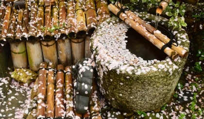 Vẻ đẹp không hoàn hảo hay mỹ học của sự diệt vong