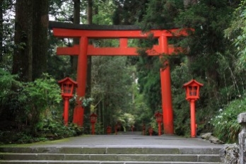 Những chiếc cổng Torii ở Nhật Bản