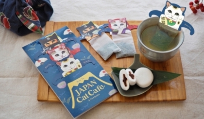 Thưởng thức trà xanh túi lọc cùng những chú mèo