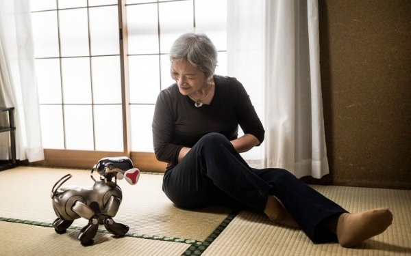 Người Nhật nuôi Robot làm thú cưng
