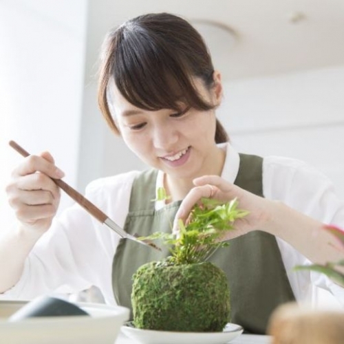 Cách làm quả cầu rêu Kokedama cho ngôi nhà thêm xanh mát