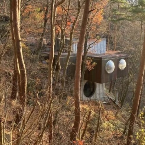 Trải nghiệm một đêm trong rừng tại phòng con nhộng với hơn 35 triệu đồng