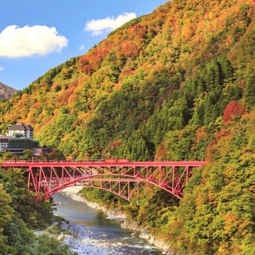 Hẻm núi Kurobe Kyokoku: Tuyệt cảnh lá đỏ mùa thu