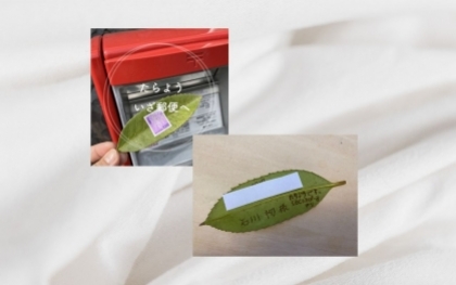 Những tấm bưu thiếp bằng lá cây của người Nhật