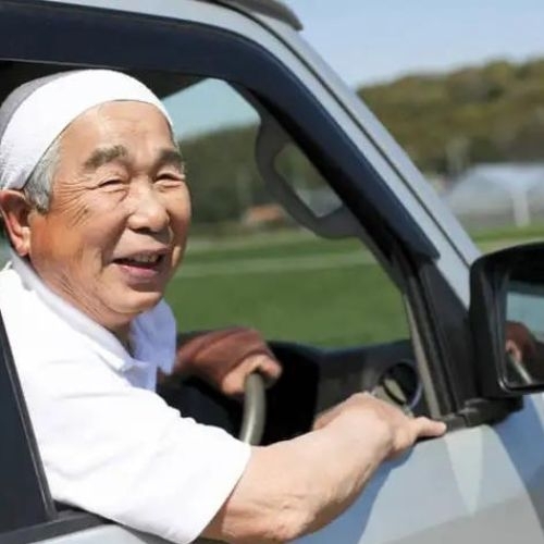 Nghịch lý tại Nhật: không chạy xe vẫn có bằng lái giỏi