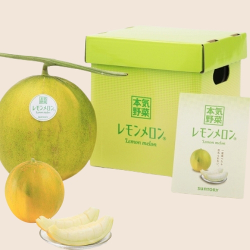 "Dưa chanh" - giống trái cây mới đến từ Hokkaido