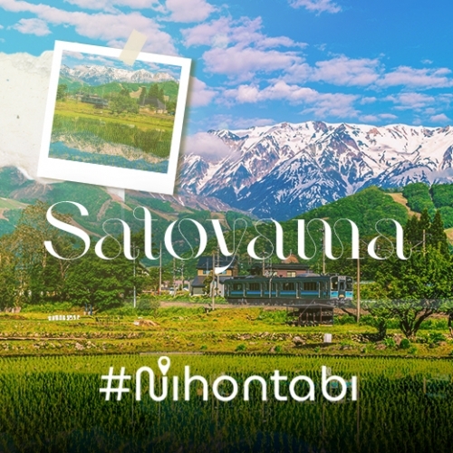 Satoyama: Khi người Nhật sống hòa hợp với thiên nhiên