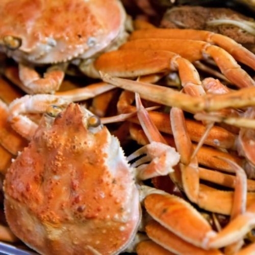 Khách sạn Nhật kiện khách hàng vì luộc cua bằng bình đun siêu tốc