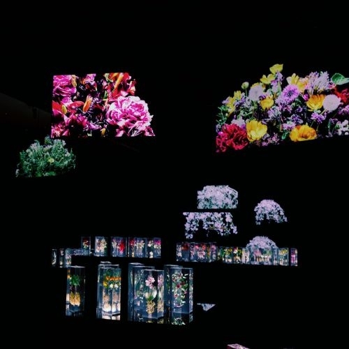 Azuma Makoto mang những “đóa hoa vĩnh cửu” đến triển lãm ở Đài Loan