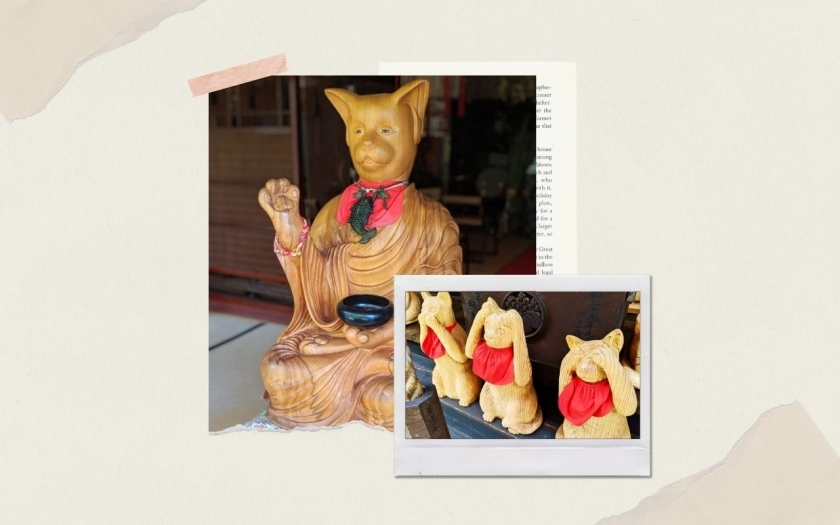 Sự tích về lòng trung thành của chú mèo Samurai ở chùa Unrin