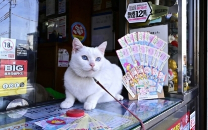 Chú mèo may mắn giúp khách hàng trúng vé số 2,6 tỷ yên