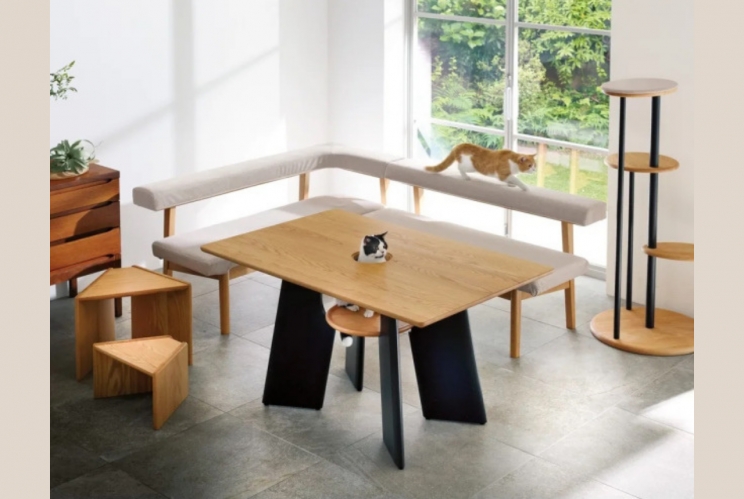 Bàn ăn gia đình có chỗ dành riêng cho mèo