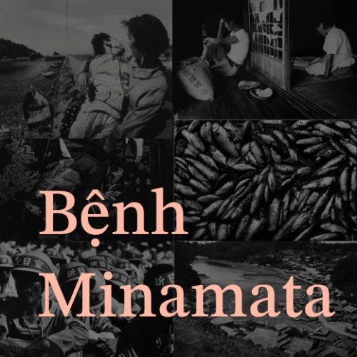 Minamata – Căn bệnh thủy ngân “phá hủy” cuộc sống của hàng ngàn người dân Nhật Bản