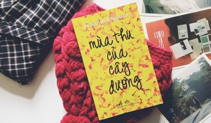 “Mùa thu của cây dương” hay mùa của những yêu thương