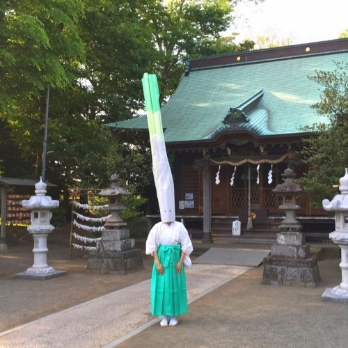 Nghi lễ hành lá kỳ lạ tại đền Aruka, tỉnh Kanagawa 