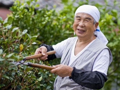 Tại sao người Nhật ít tập thể thao nhưng vẫn sống thọ?