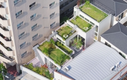 Nhà phố Nhật Bản sở hữu sáu khu vườn trên mái