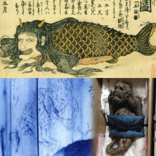 Giải mã bí ẩn về người cá Ningyo của Nhật Bản