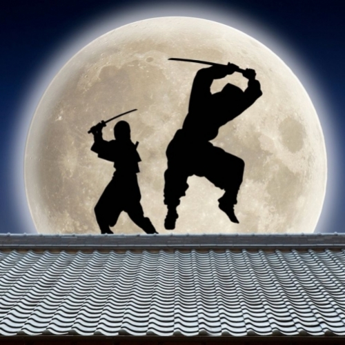 Ninja Ukifune Jinnai và vụ ám sát huyền thoại trong toilet