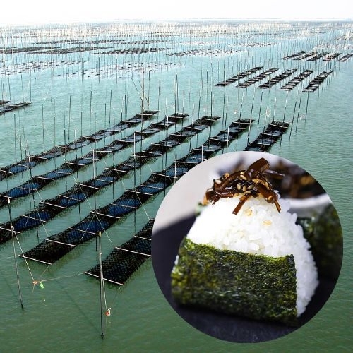 Cực phẩm rong biển Ariake - mỹ vị của vùng Kyushu