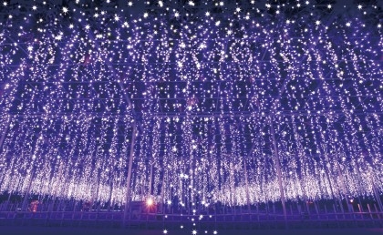 Lung linh "Vườn hoa ánh sáng" ở Tochigi