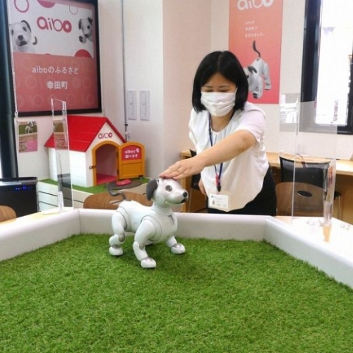Chơi đùa cùng robot Aibo tại quán cà phê ở tỉnh Aichi