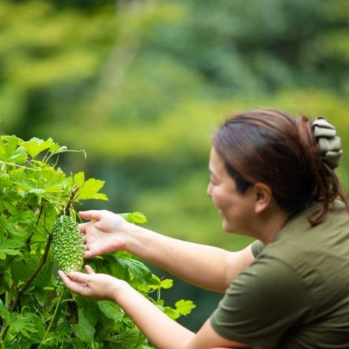 Ẩm thực mùa hè: Người Nhật ăn gì vào những ngày nóng bức?