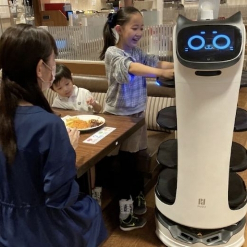 Nhà hàng ở Hokkaido sử dụng robot mèo để phục vụ khách