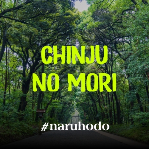 Rừng thiêng Chinju no Mori và tín ngưỡng tôn thờ tự nhiên của người Nhật