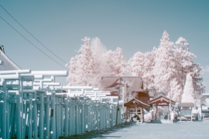 Ảnh chụp Sakura bằng máy ảnh hồng ngoại gây sốt MXH Nhật Bản