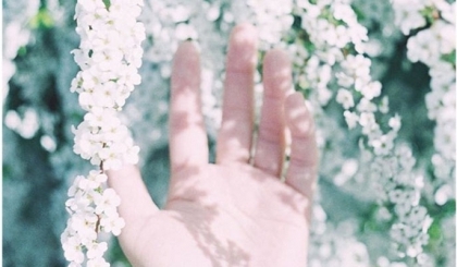  Bí kíp chụp ảnh film kiểu Nhật cực hot trên Instagram