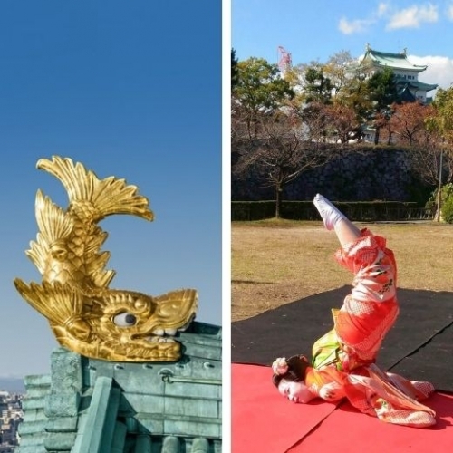 Shachihoko và điệu múa truyền thống ở Nagoya