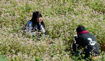 Hà Giang: Lạ lùng miền đá. nở hoa 