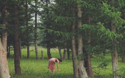 Bí kíp để có buổi tắm rừng hiệu quả