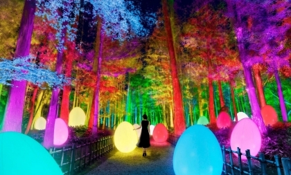 5 điều đáng mong chờ ở Nhật Bản trong năm 2021