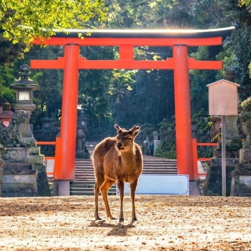 Kansai, Kinki, Kinai: Nguồn gốc và ý nghĩa của các tên gọi