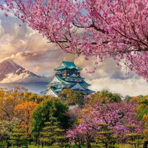 Thành Osaka có gì đặc biệt? Biểu tượng thành cổ văn hóa của nước Nhật