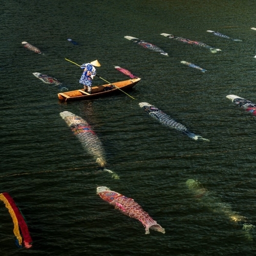 Độc đáo khung cảnh 120 cờ cá chép bơi trên sông