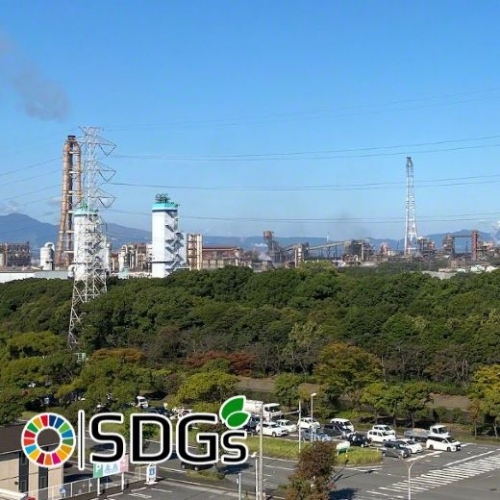 Phủ xanh đô thị với phương pháp trồng rừng Miyawaki