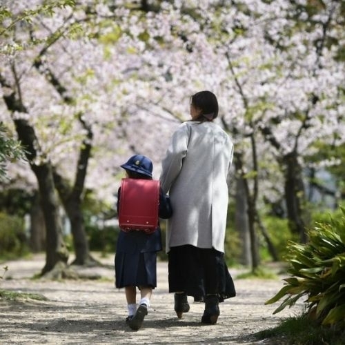 Vì sao Nhật Bản lại nhập học vào tháng 4?