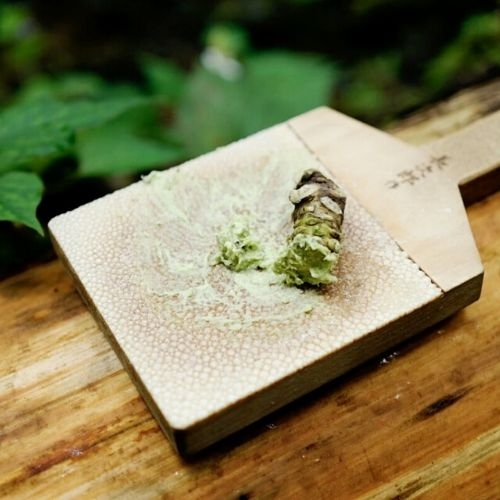 Biến đổi khí hậu khiến Wasabi bị đe dọa