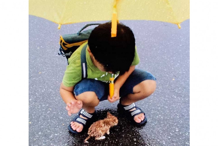 Bức ảnh cảm động sau 10 năm của cậu bé và chú mèo hoang