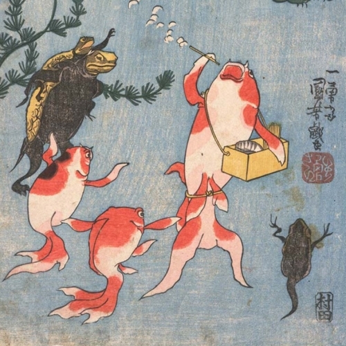 Người Nhật và tình yêu với cá vàng