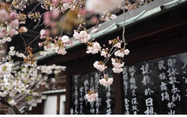 Những từ ngữ xinh đẹp trong tiếng Nhật