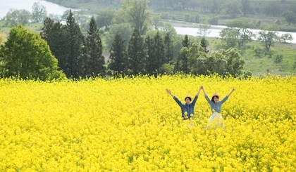 Trải nghiệm du xuân vui "quên lối về" ở Nagano và Niigata