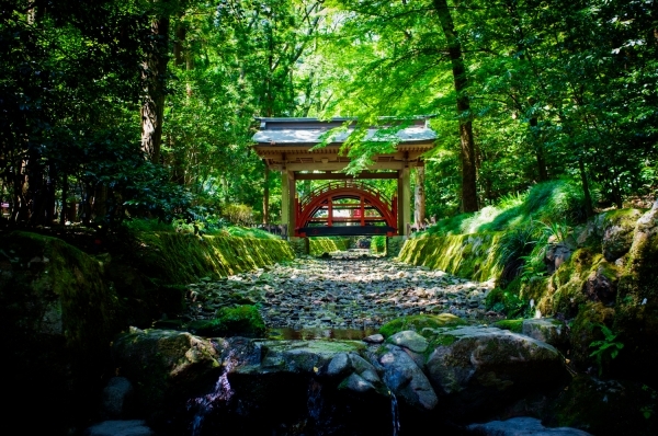 Khám phá Yahiko: thị trấn linh thiêng của tỉnh Niigata