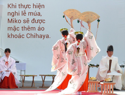 Khi thực hiện nghi lễ múa, Miko sẽ được mặc thêm áo khoác Chihaya.