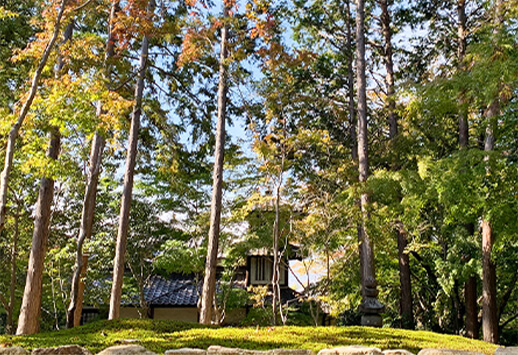 Khuôn viên rợp bóng cây của Shogakuan. Ảnh: shougakuan-jumokusou.jp