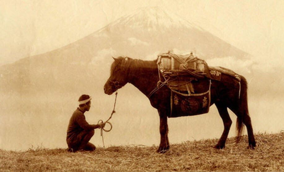 Ảnh: theequinest